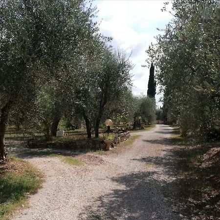 Ferienwohnung Nel Chianti Lungo La Francigena Colle di Val d'Elsa Exterior foto