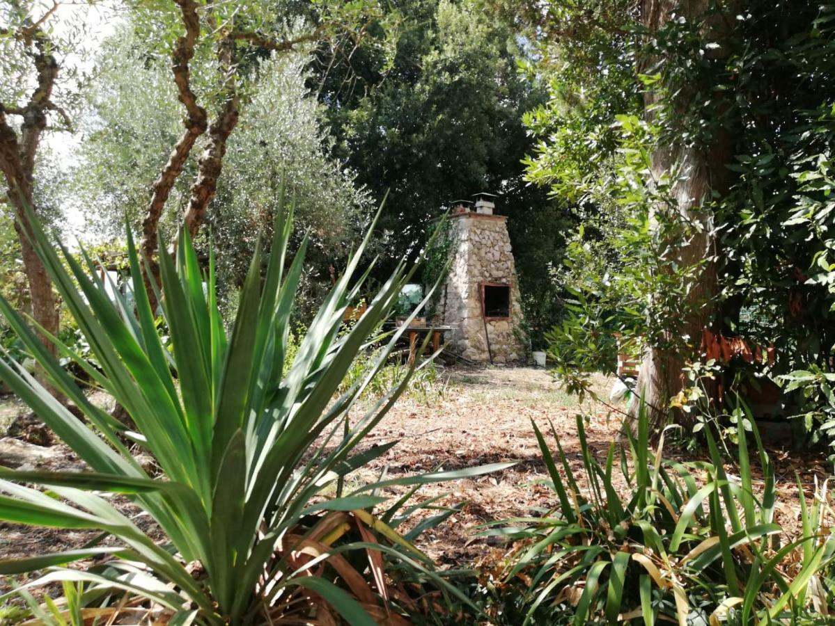 Ferienwohnung Nel Chianti Lungo La Francigena Colle di Val d'Elsa Exterior foto