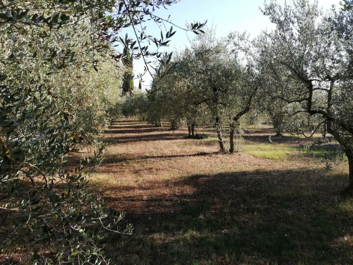 Ferienwohnung Nel Chianti Lungo La Francigena Colle di Val d'Elsa Exterior foto