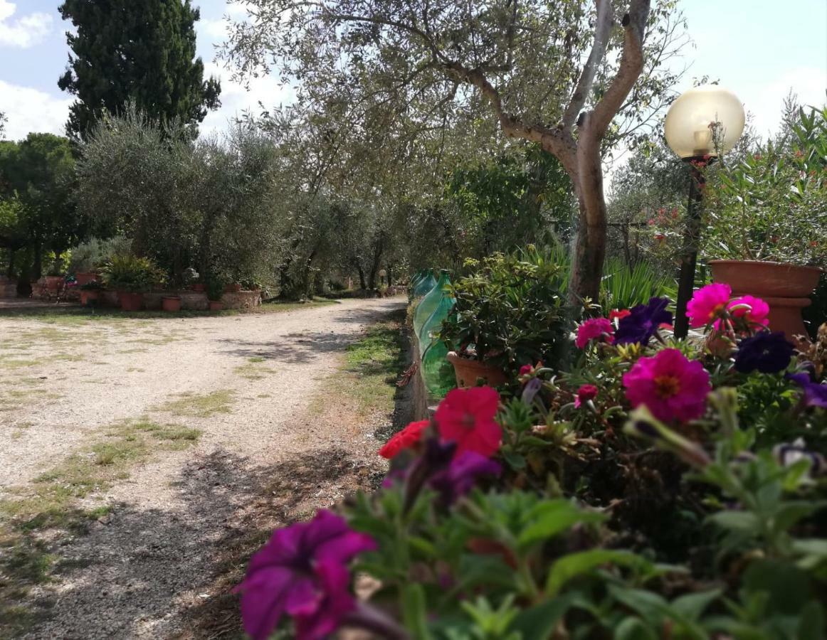 Ferienwohnung Nel Chianti Lungo La Francigena Colle di Val d'Elsa Exterior foto
