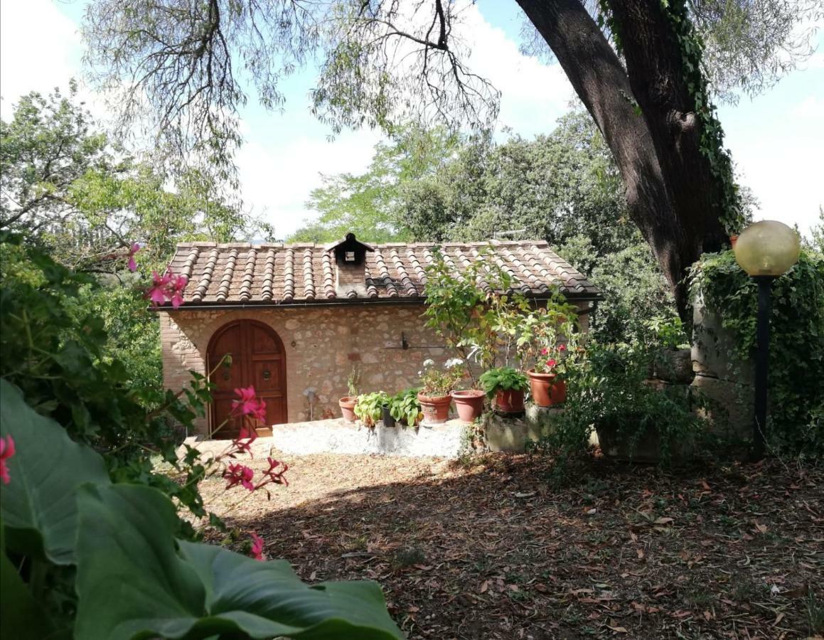 Ferienwohnung Nel Chianti Lungo La Francigena Colle di Val d'Elsa Exterior foto