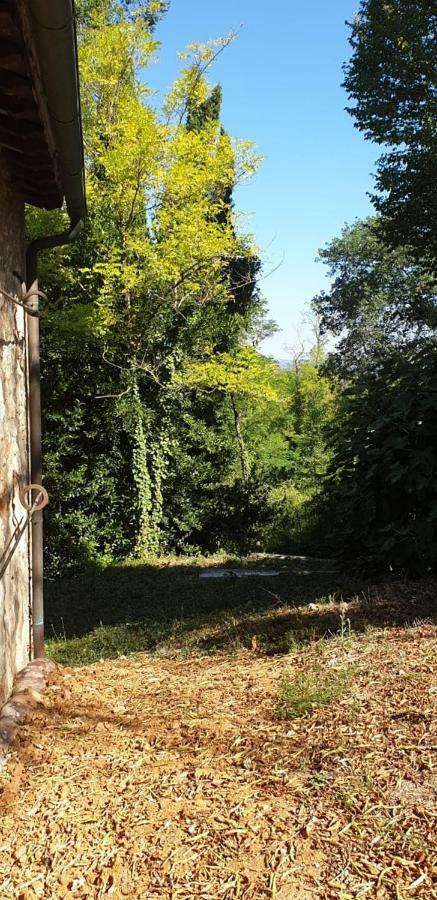 Ferienwohnung Nel Chianti Lungo La Francigena Colle di Val d'Elsa Exterior foto