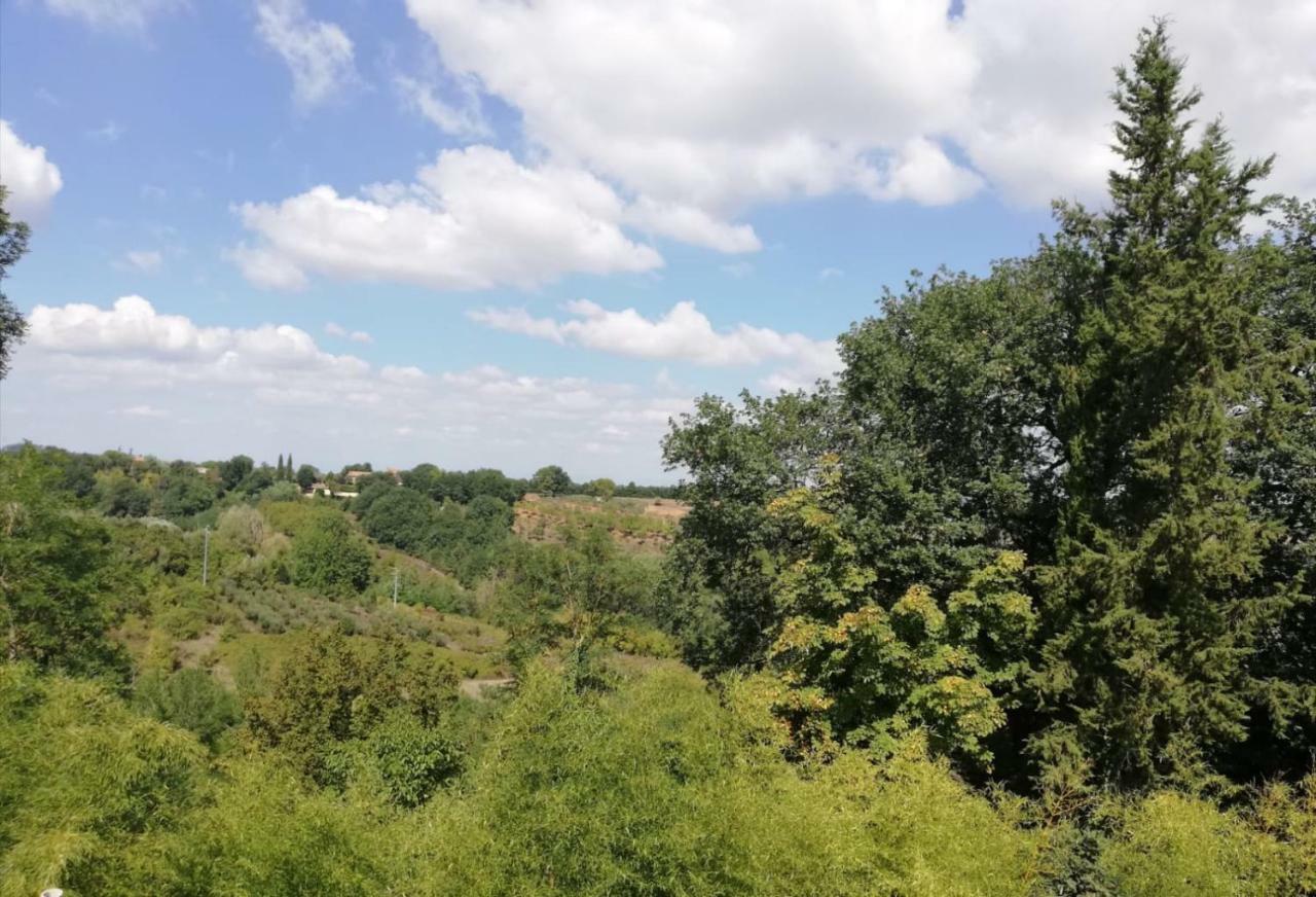 Ferienwohnung Nel Chianti Lungo La Francigena Colle di Val d'Elsa Exterior foto