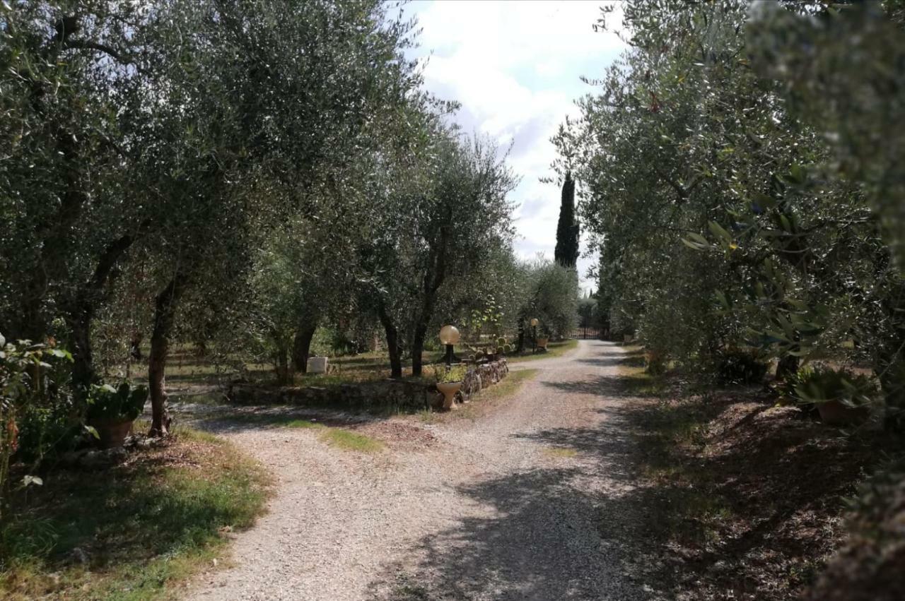 Ferienwohnung Nel Chianti Lungo La Francigena Colle di Val d'Elsa Exterior foto